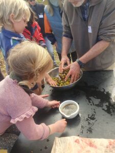 Two small children and a bearded man with their hands in a steel bowl of dandelions