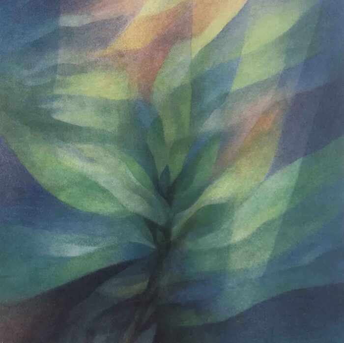 painting of plant